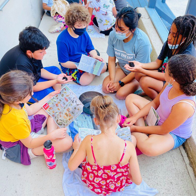 Students participating in Reading Reaps Rewards examine sea creatures at Save the Bay.