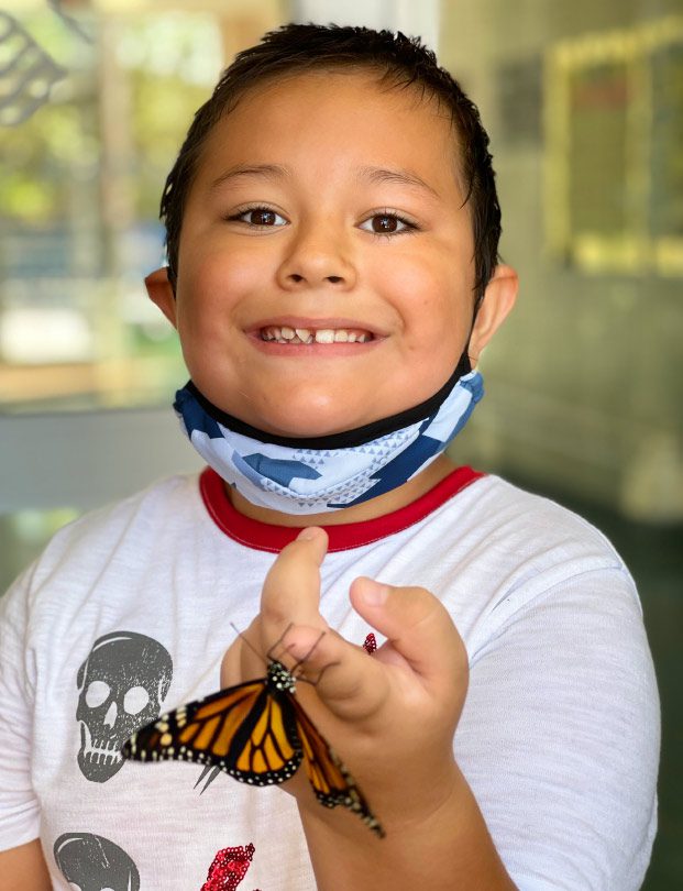 Child Holding a butterfly