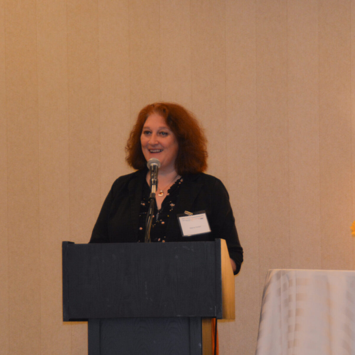 Maria Cimini, director of the Rhode Island Office of Healthy Aging, giving welcoming remarks.